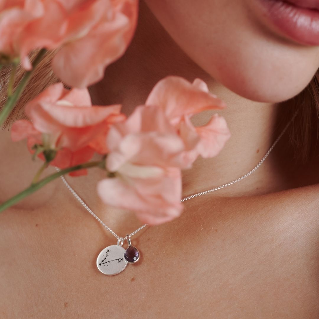 Fische Duo Charms Silber