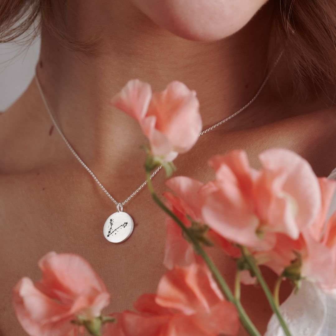 Fische Münzen Charm Silber