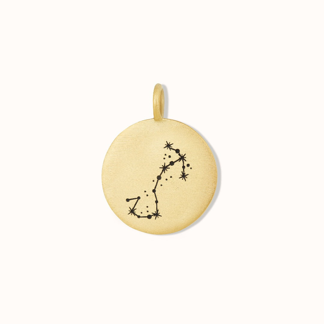 Skorpion Münzen Charm Golden - Spirit of Liebs