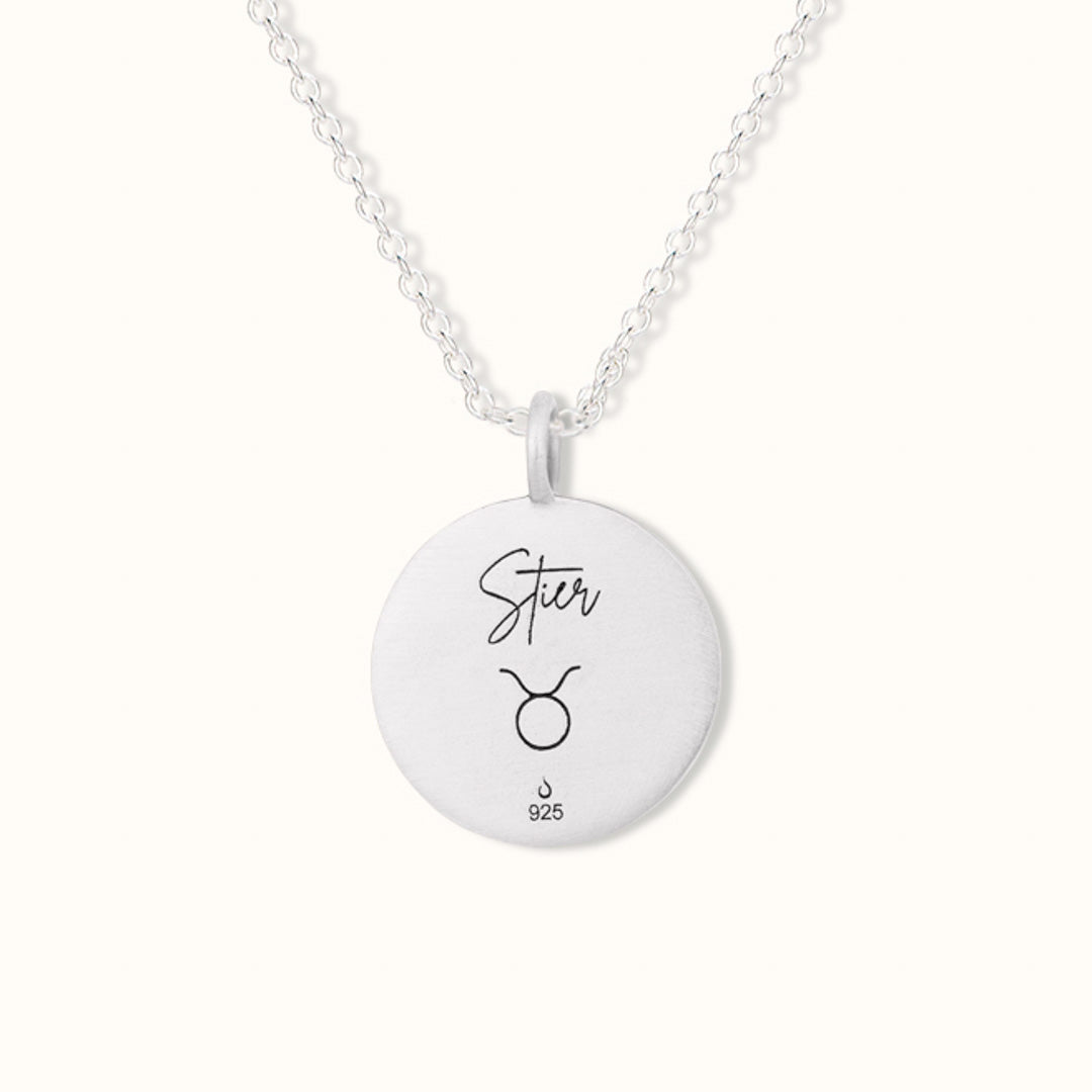 Stier Münzen Charm Silber