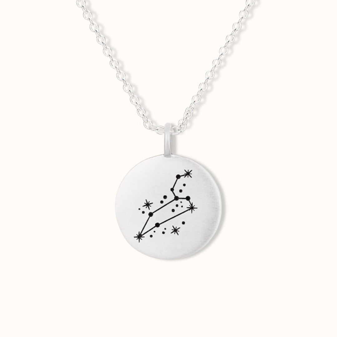 Löwe Münzen Charm Silber