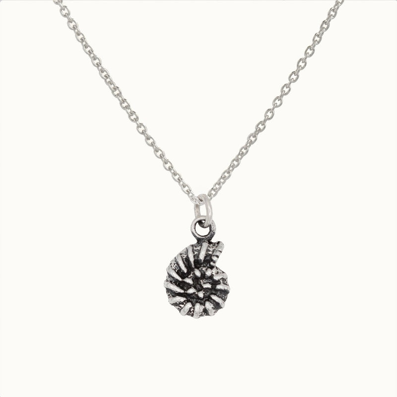 Amos Charm Silber