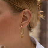 SOL Drops Citrin Big Hoops Golden